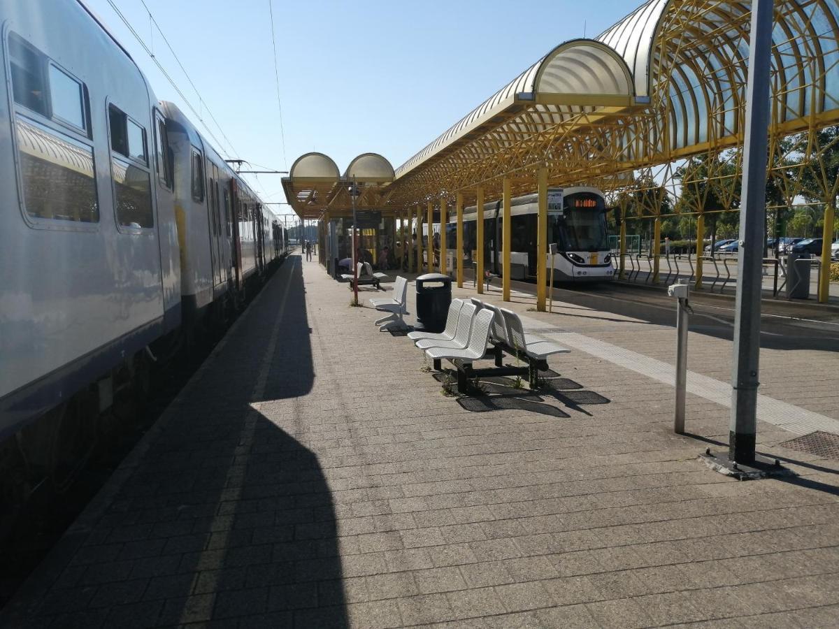 Vakantie Aan Zee De Panne Bagian luar foto